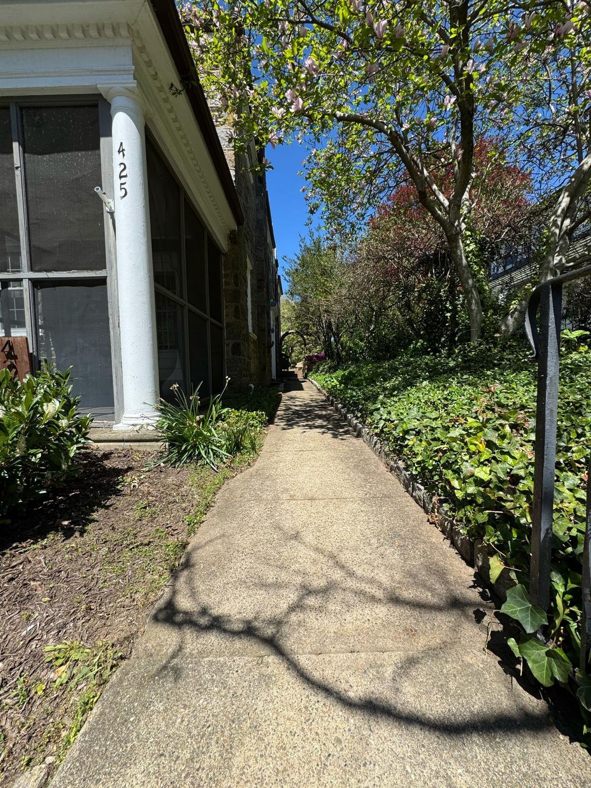 Yard cleanup work by Green Force Property Services
